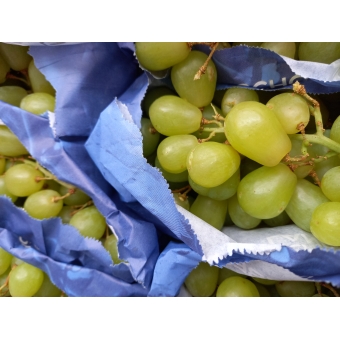 Druiven Witte Pitloos LOS, Prijs per 500 GRAM